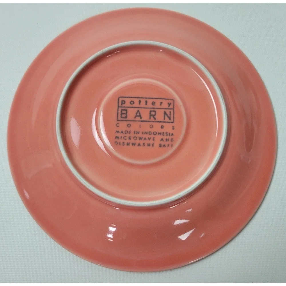 Pottery Barn Colors‎ Salmon Pink Ceramic Cup and Saucer Set 10oz